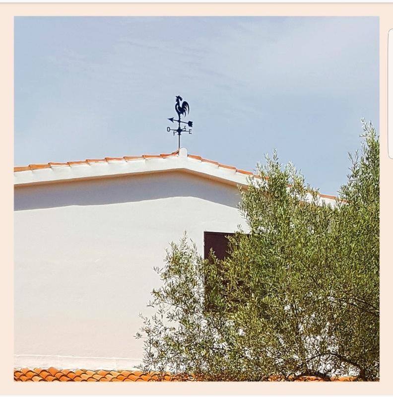 Villa La Rucchetta Alguer Exterior foto